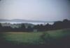 Morning mist